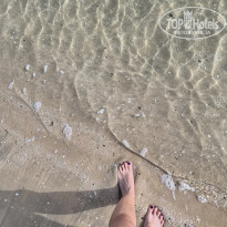 фото из отзыва ID 2742057