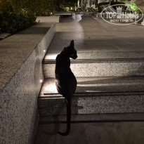 фото из отзыва ID 2742057