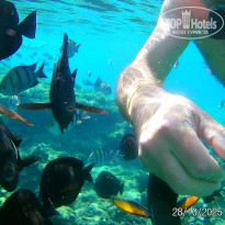 фото из отзыва ID 2741806