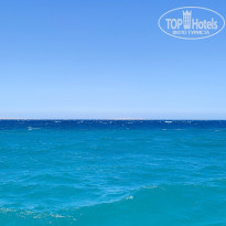 фото из отзыва ID 2742062