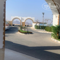 фото из отзыва ID 2742067