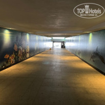 фото из отзыва ID 2742100