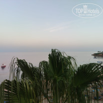 фото из отзыва ID 2740461