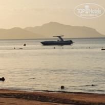 фото из отзыва ID 2740461