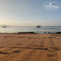 фото из отзыва ID 2740461