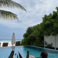 фото из отзыва ID 2742104