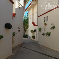 фото из отзыва ID 2742114