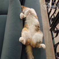 фото из отзыва ID 2742114