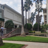 фото из отзыва ID 2742142