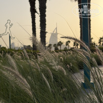 фото из отзыва ID 2742146