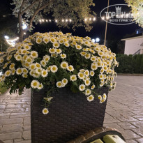 фото из отзыва ID 2742165