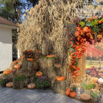 фото из отзыва ID 2742165