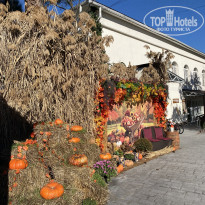 фото из отзыва ID 2742165