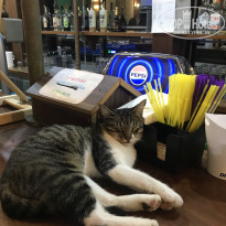 фото из отзыва ID 2742183