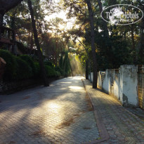 фото из отзыва ID 2742185