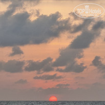 фото из отзыва ID 2742184