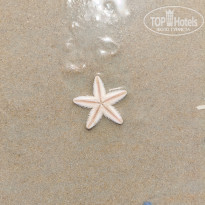 фото из отзыва ID 2742184