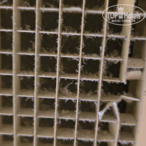 фото из отзыва ID 2742204