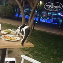 фото из отзыва ID 2742205