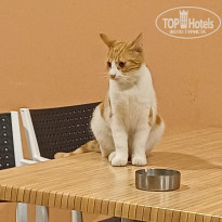 фото из отзыва ID 2742205