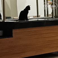 фото из отзыва ID 2742205