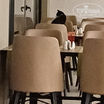 фото из отзыва ID 2742205