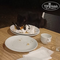 фото из отзыва ID 2742205