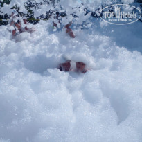 фото из отзыва ID 2742207