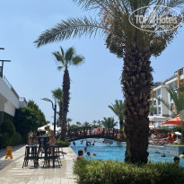 фото из отзыва ID 2742207