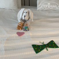 фото из отзыва ID 2742207