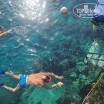 фото из отзыва ID 2742215