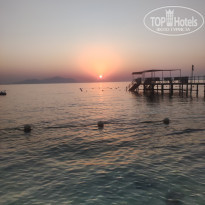 фото из отзыва ID 2742215