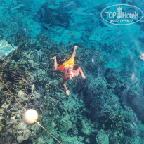 фото из отзыва ID 2742215