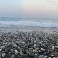 фото из отзыва ID 2742217