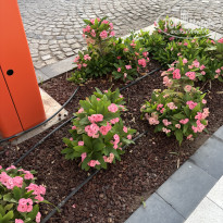 фото из отзыва ID 2742251