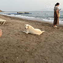 фото из отзыва ID 2742251