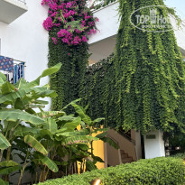 фото из отзыва ID 2742251