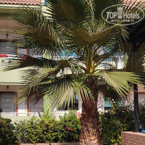 фото из отзыва ID 2742262