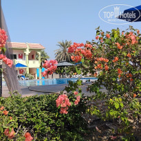 фото из отзыва ID 2742262