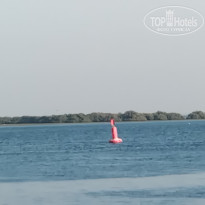 фото из отзыва ID 2742262