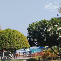 фото из отзыва ID 2742262