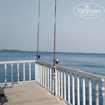 фото из отзыва ID 2742262