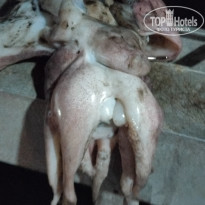 фото из отзыва ID 2742262