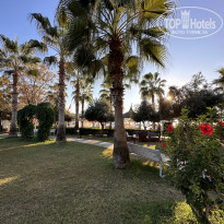 фото из отзыва ID 2742282