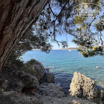 фото из отзыва ID 2742282