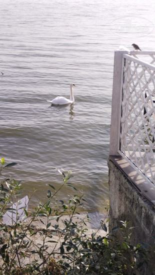 Hotel photo Элиза Заркау 