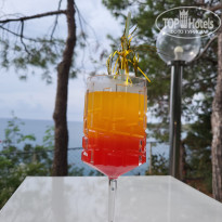 фото из отзыва ID 2742291