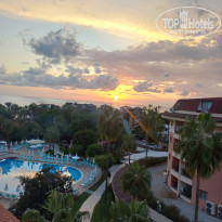 фото из отзыва ID 2742303