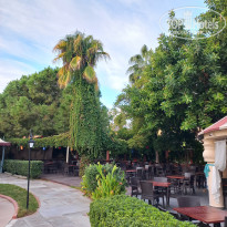 фото из отзыва ID 2742303