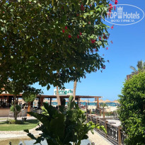 фото из отзыва ID 2742305